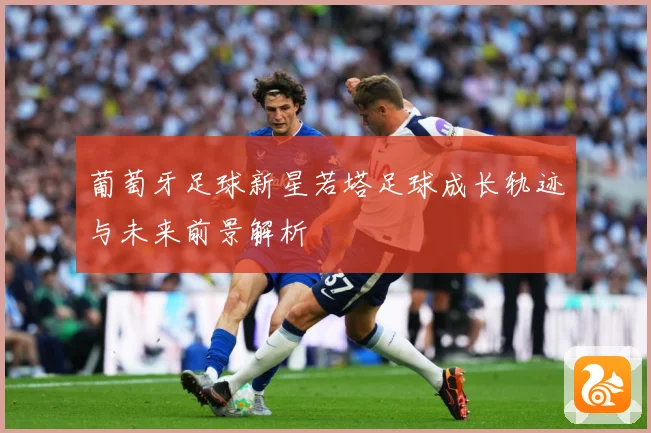 葡萄牙足球新星若塔足球成长轨迹与未来前景解析