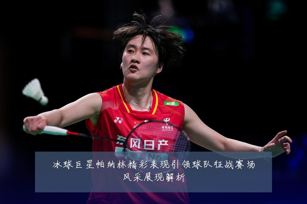 冰球巨星帕纳林精彩表现引领球队征战赛场风采展现解析