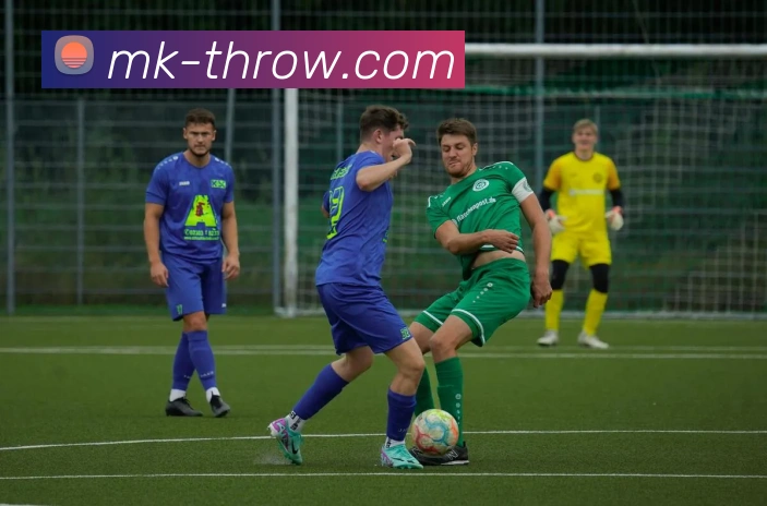 MK体育平台展示图